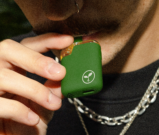 Raw Garden – 2g Disposable Vape - Image 3