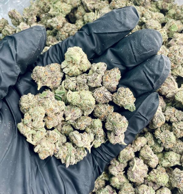 Black Ice – 1 lb - Image 2