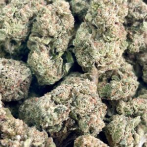 buy gruntz no.2 1lb stealth shipping australia online