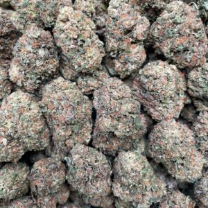 Bacio 1lb bulk flower with dense buds and secure discreet packaging for Australia delivery