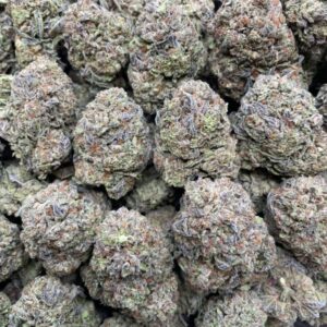 Where to Buy Gruntz 1lb Stealth Delivery Australia Online