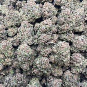Blueberry Dum Dumz 1lb AAA bulk flower with dense buds and secure discreet packaging for Australia delivery