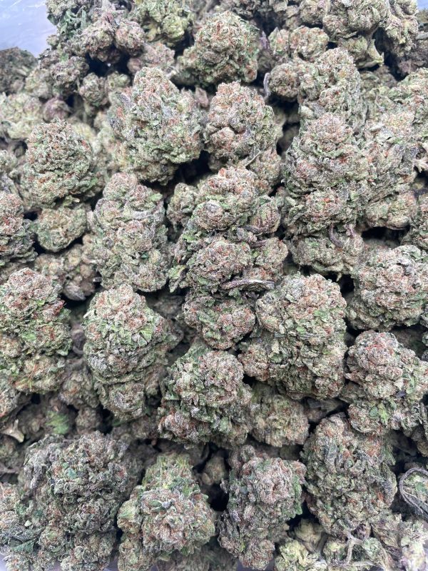 Blueberry Bubbleyumz 1lb bulk flower with dense buds and secure discreet packaging for Australia delivery