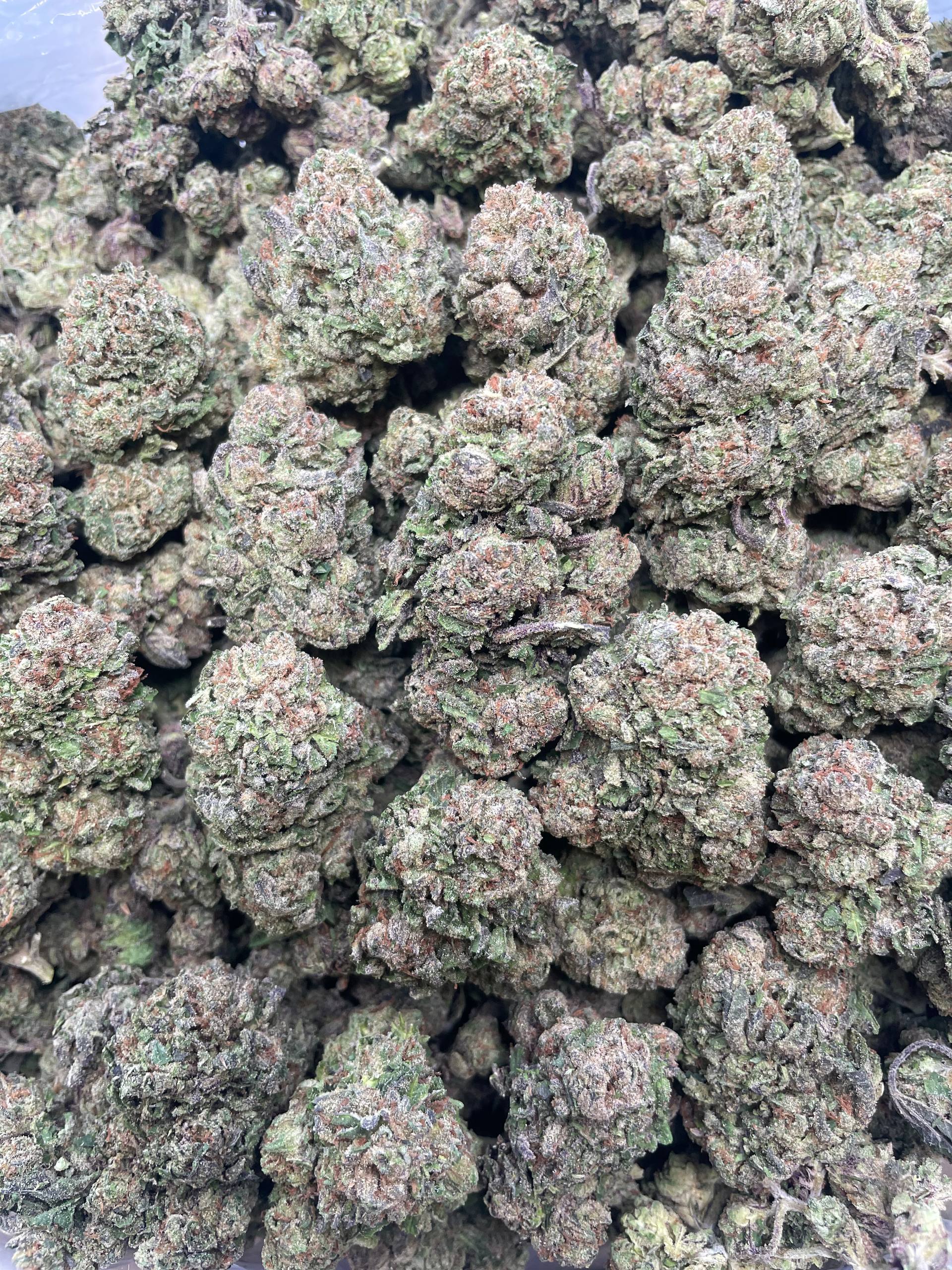 Blueberry Dum Dumz 1lb AAA bulk flower with dense buds and secure discreet packaging for Australia delivery