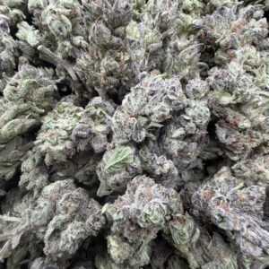 Buy Fruit Loop Strain